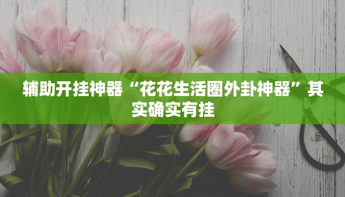 辅助开挂神器“花花生活圈外卦神器”其实确实有挂