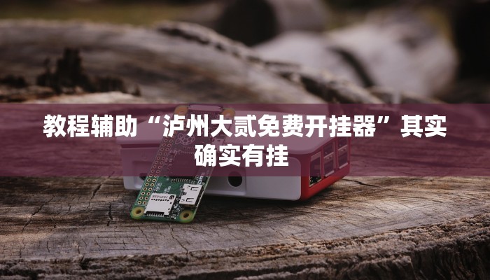 教程辅助“泸州大贰免费开挂器”其实确实有挂 