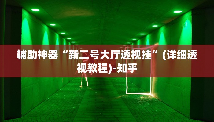 辅助神器“新二号大厅透视挂”(详细透视教程)-知乎