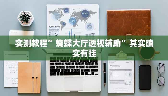 实测教程”蝴蝶大厅透视辅助”其实确实有挂