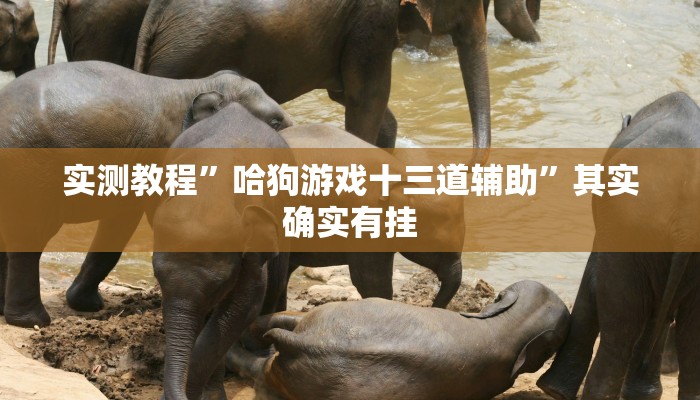 实测教程”哈狗游戏十三道辅助”其实确实有挂 实测教程”哈狗游戏十三道辅助”其实确实有挂