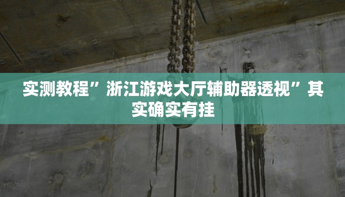 实测教程”浙江游戏大厅辅助器透视”其实确实有挂