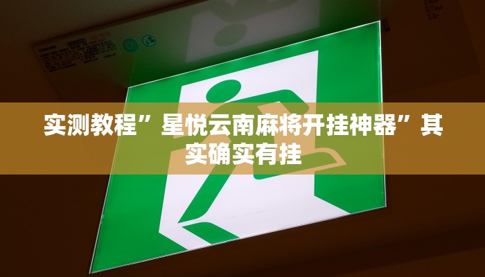 实测教程”星悦云南麻将开挂神器”其实确实有挂