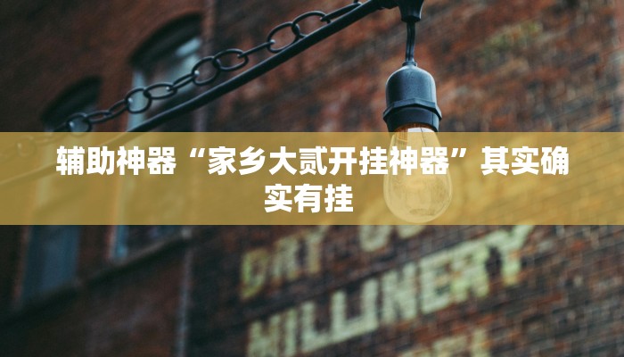 辅助神器“家乡大贰开挂神器”其实确实有挂 