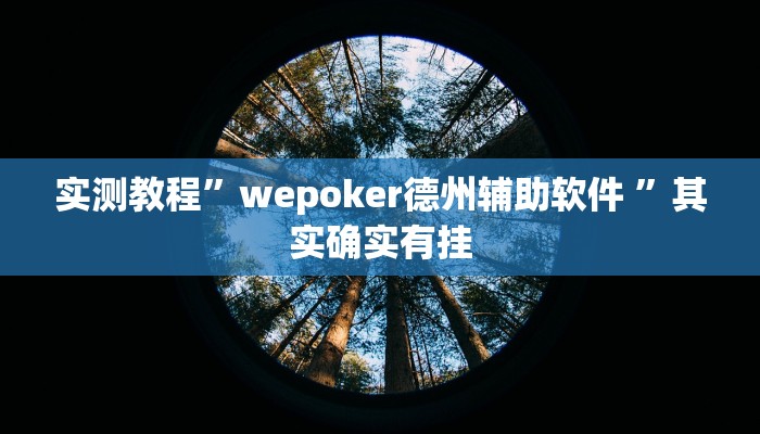 实测教程”wepoker德州辅助软件 ”其实确实有挂