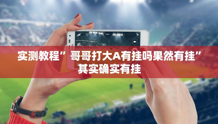 实测教程”哥哥打大A有挂吗果然有挂”其实确实有挂 实测教程”哥哥打大A有挂吗果然有挂”其实确实有挂