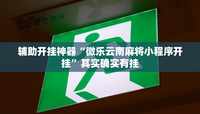 辅助开挂神器“微乐云南麻将小程序开挂”其实确实有挂