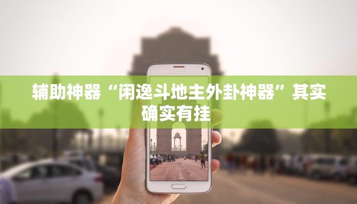 辅助神器“闲逸斗地主外卦神器”其实确实有挂 