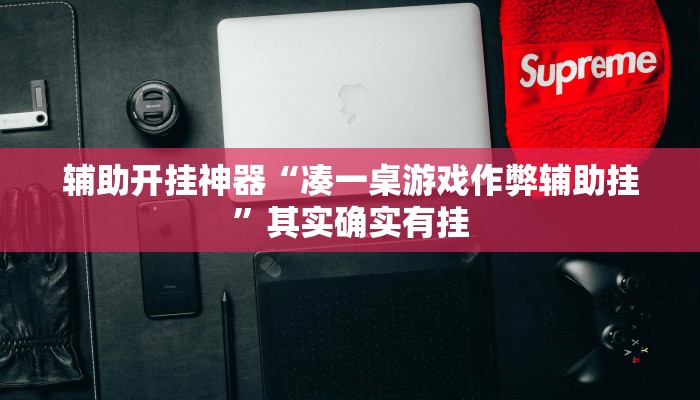 辅助开挂神器“凑一桌游戏作弊辅助挂”其实确实有挂