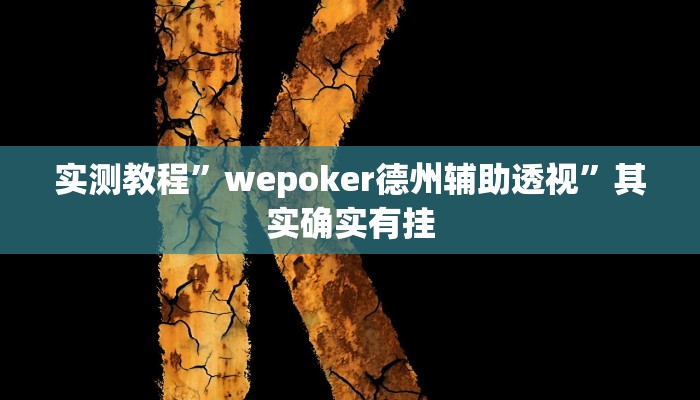 实测教程”wepoker德州辅助透视”其实确实有挂