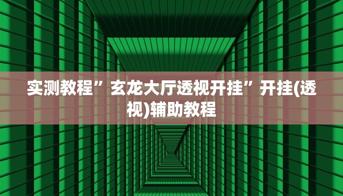 实测教程”玄龙大厅透视开挂”开挂(透视)辅助教程