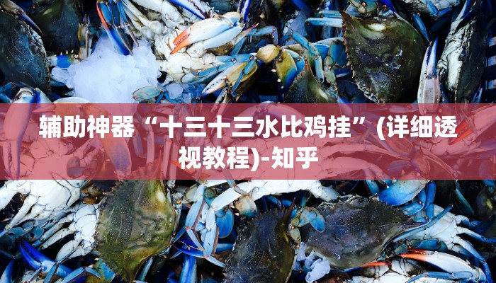 辅助神器“十三十三水比鸡挂”(详细透视教程)-知乎 辅助神器“十三十三水比鸡挂”(详细透视教程)-知乎