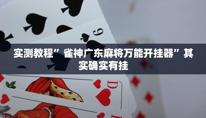 实测教程”雀神广东麻将万能开挂器”其实确实有挂
