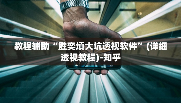 教程辅助“胜奕填大坑透视软件”(详细透视教程)-知乎