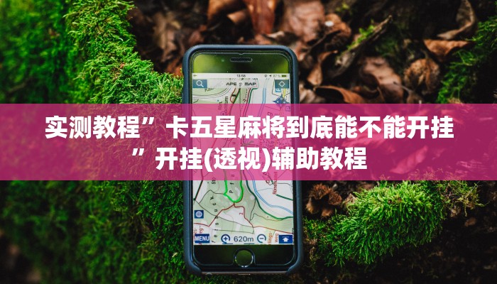 实测教程”卡五星麻将到底能不能开挂”开挂(透视)辅助教程