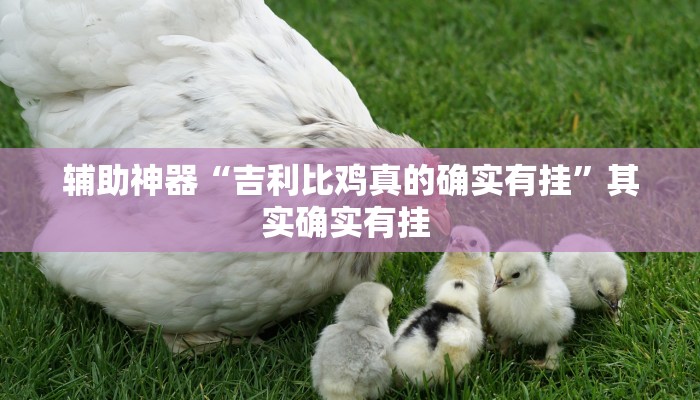 辅助神器“吉利比鸡真的确实有挂”其实确实有挂 