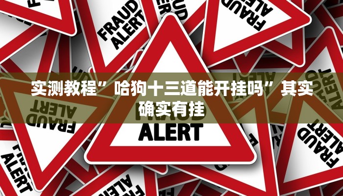 实测教程”哈狗十三道能开挂吗”其实确实有挂