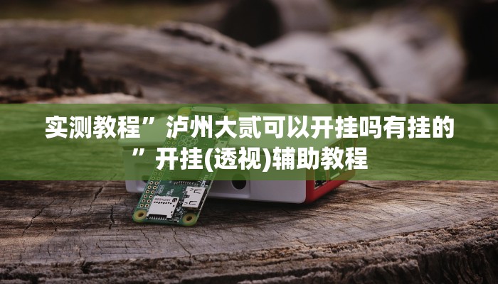 实测教程”泸州大贰可以开挂吗有挂的”开挂(透视)辅助教程 实测教程”泸州大贰可以开挂吗有挂的”开挂(透视)辅助教程