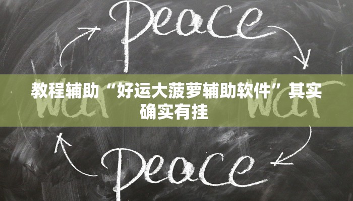 教程辅助“好运大菠萝辅助软件”其实确实有挂 