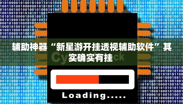 辅助神器“新星游开挂透视辅助软件”其实确实有挂 