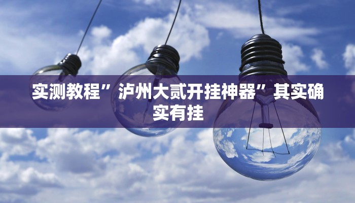 实测教程”泸州大贰开挂神器”其实确实有挂