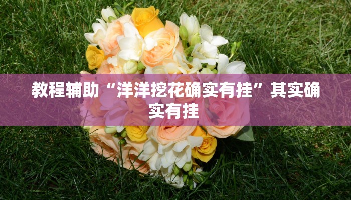 教程辅助“洋洋挖花确实有挂”其实确实有挂 教程辅助“洋洋挖花确实有挂”其实确实有挂