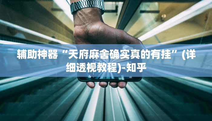 辅助神器“天府麻舍确实真的有挂”(详细透视教程)-知乎