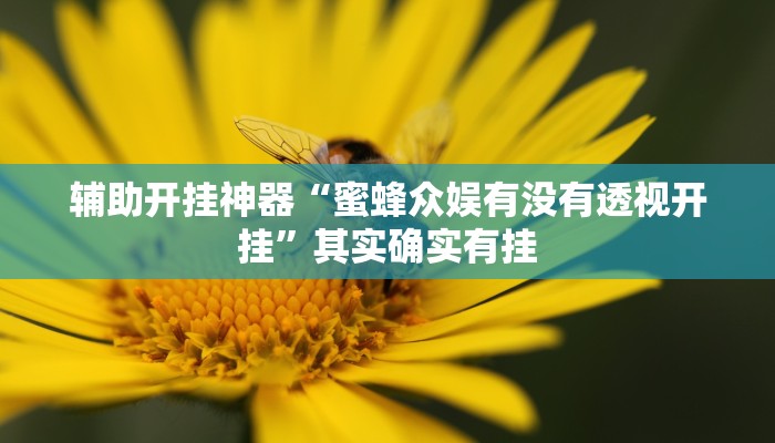 辅助开挂神器“蜜蜂众娱有没有透视开挂”其实确实有挂