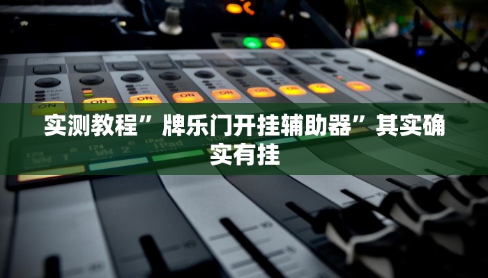 实测教程”牌乐门开挂辅助器”其实确实有挂