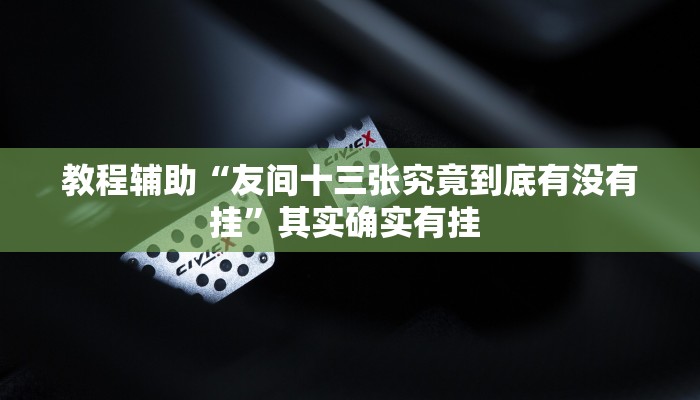 教程辅助“友间十三张究竟到底有没有挂”其实确实有挂 