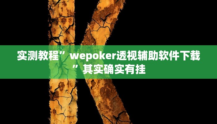实测教程”wepoker透视辅助软件下载”其实确实有挂