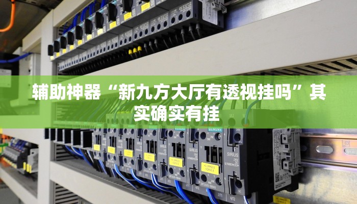 辅助神器“新九方大厅有透视挂吗”其实确实有挂 