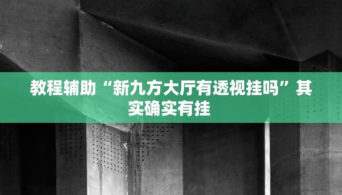 教程辅助“新九方大厅有透视挂吗”其实确实有挂 
