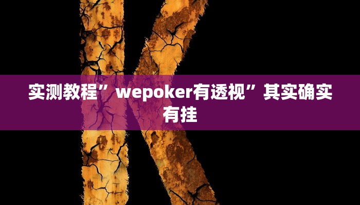 实测教程”wepoker有透视”其实确实有挂
