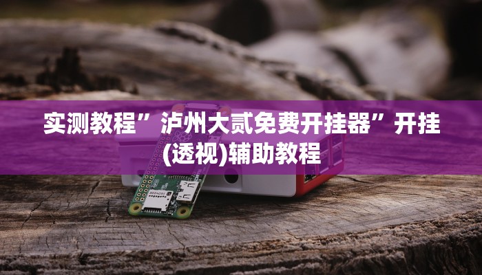 实测教程”泸州大贰免费开挂器”开挂(透视)辅助教程