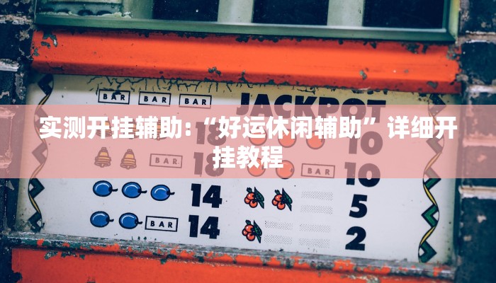 实测开挂辅助:“好运休闲辅助”详细开挂教程