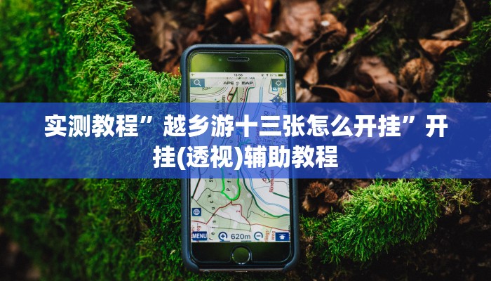 实测教程”越乡游十三张怎么开挂”开挂(透视)辅助教程