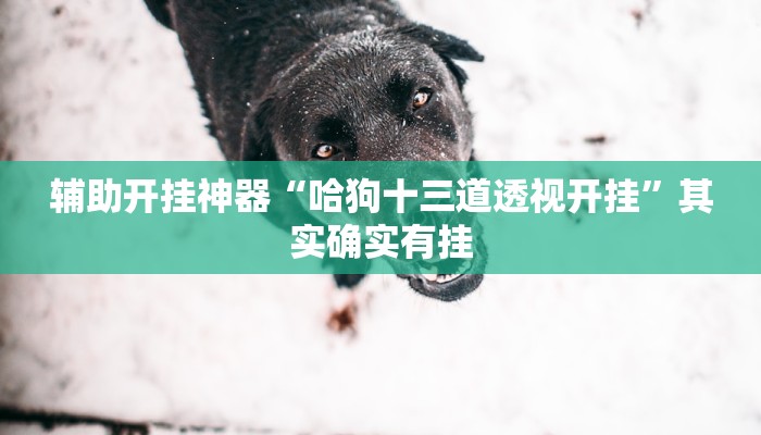 辅助开挂神器“哈狗十三道透视开挂”其实确实有挂