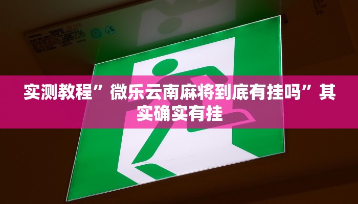 实测教程”微乐云南麻将到底有挂吗”其实确实有挂