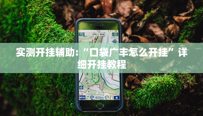 实测开挂辅助:“口袋广丰怎么开挂”详细开挂教程