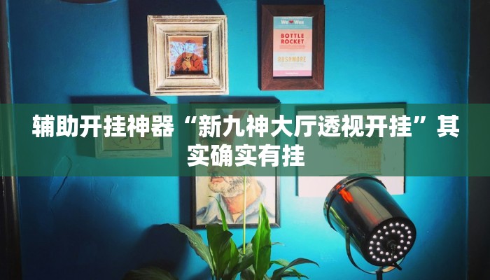 辅助开挂神器“新九神大厅透视开挂”其实确实有挂