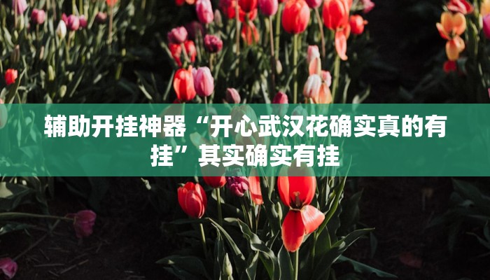 辅助开挂神器“开心武汉花确实真的有挂”其实确实有挂