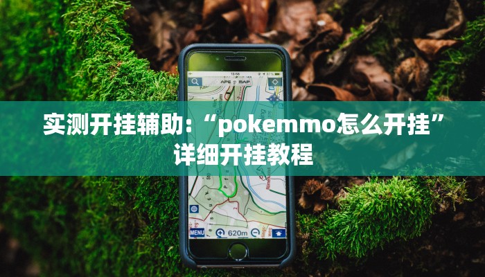 实测开挂辅助:“pokemmo怎么开挂”详细开挂教程