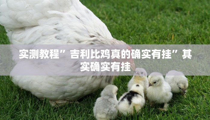 实测教程”吉利比鸡真的确实有挂”其实确实有挂