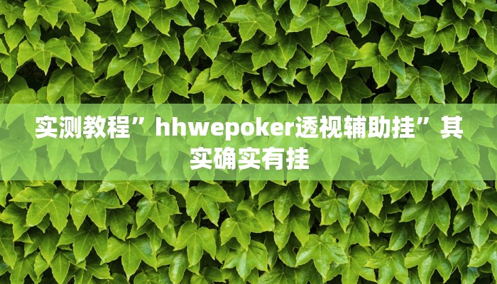 实测教程”hhwepoker透视辅助挂”其实确实有挂