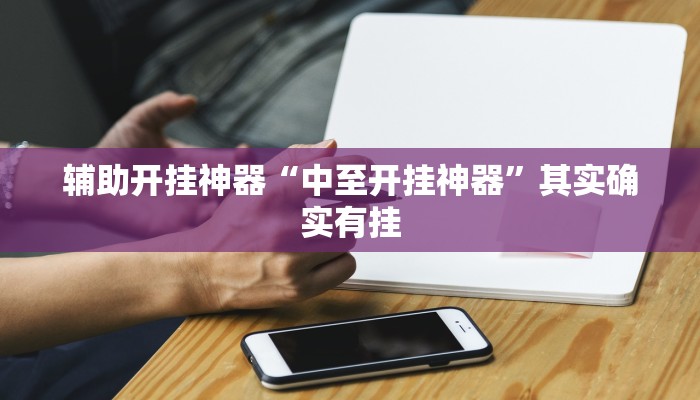 辅助开挂神器“中至开挂神器”其实确实有挂