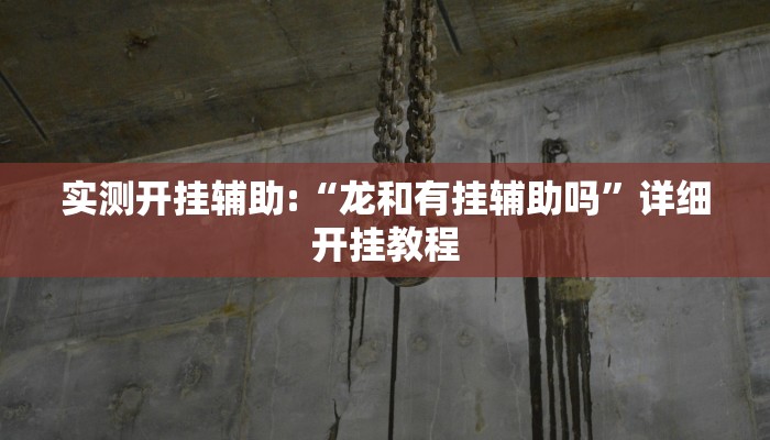 实测开挂辅助:“龙和有挂辅助吗”详细开挂教程