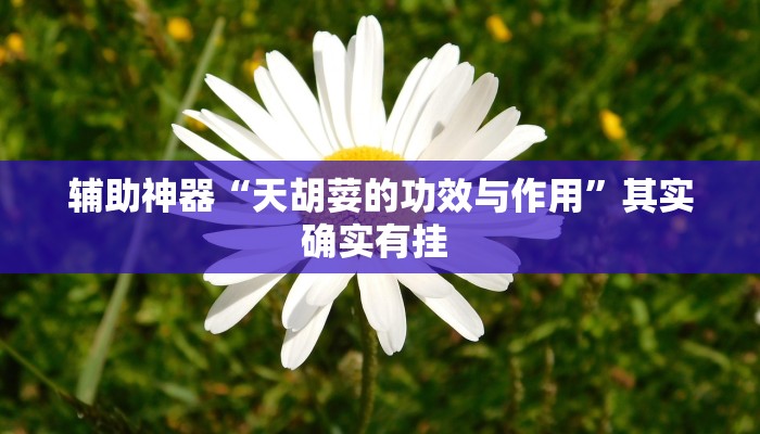 辅助神器“天胡荽的功效与作用”其实确实有挂 