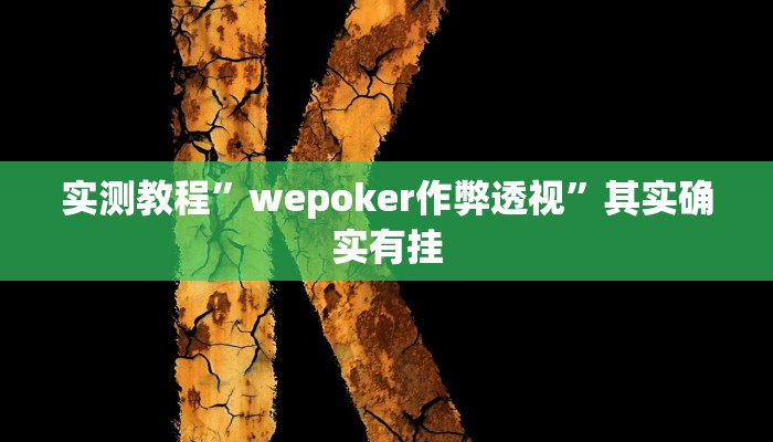 实测教程”wepoker作弊透视”其实确实有挂