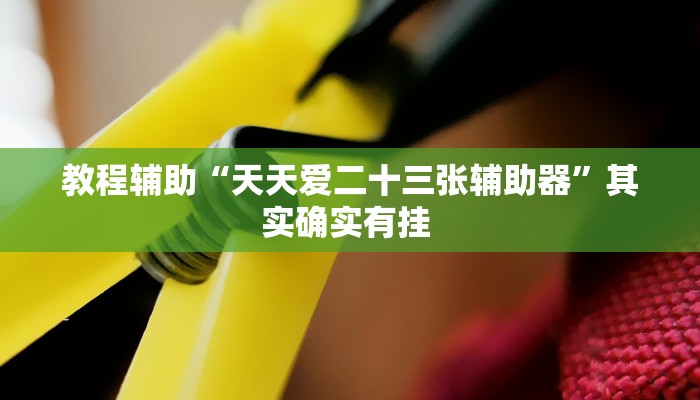 教程辅助“天天爱二十三张辅助器”其实确实有挂 